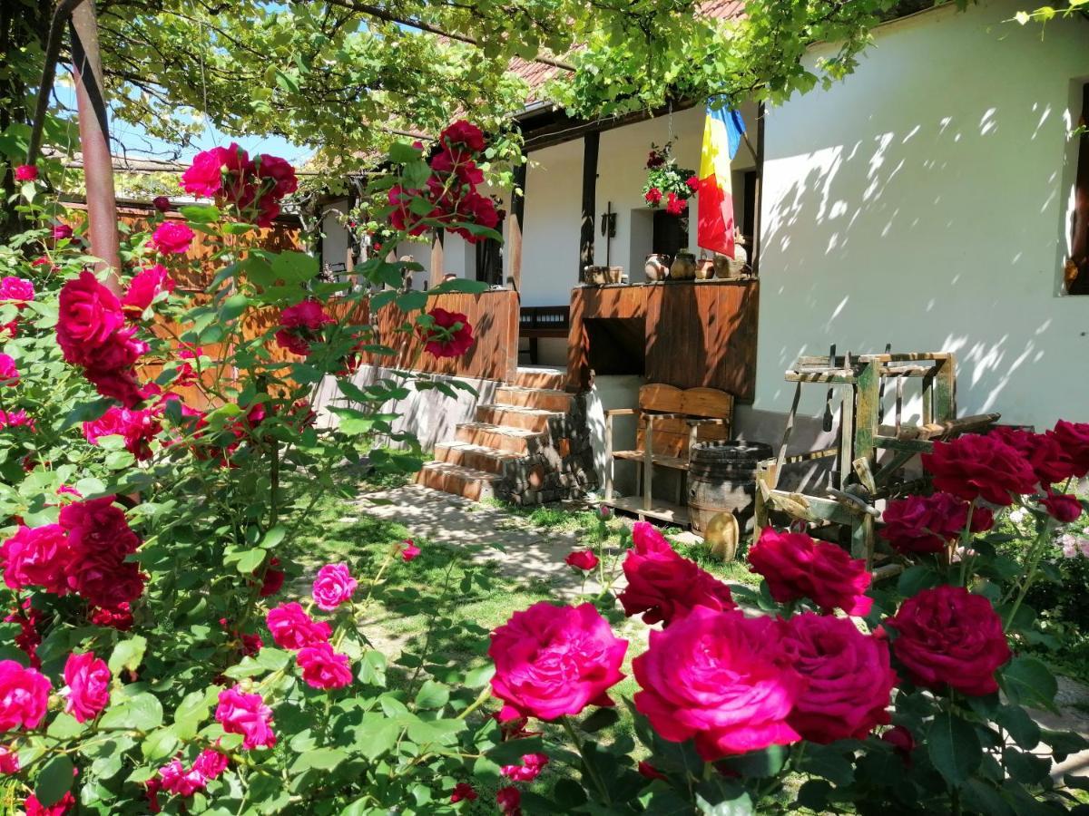 Casa Tradițională Transilvăneana Rucar  Exterior foto