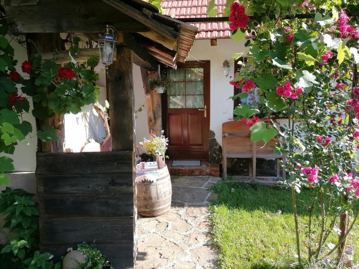 Casa Tradițională Transilvăneana Rucar  Exterior foto