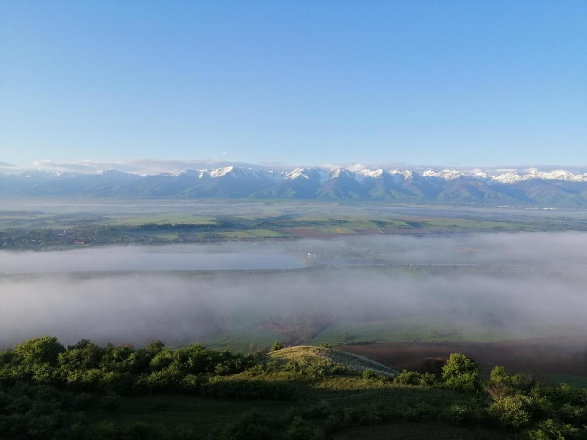 Casa Tradițională Transilvăneana Rucar  Exterior foto