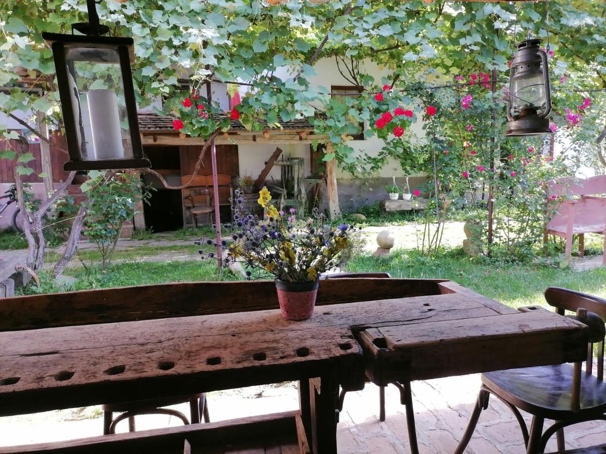 Casa Tradițională Transilvăneana Rucar  Exterior foto