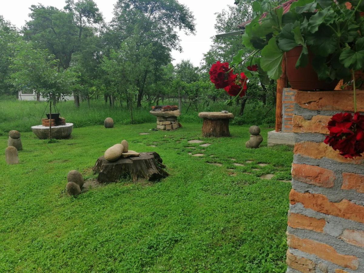 Casa Tradițională Transilvăneana Rucar  Exterior foto